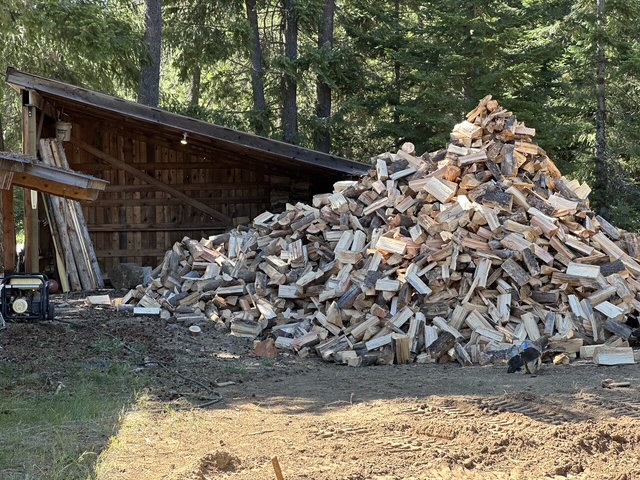 Large pile of split firewood beside an open wood shed in the pines