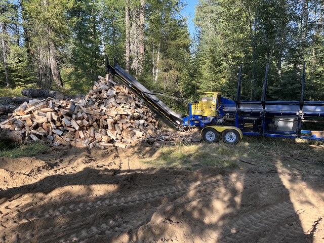 Conveyor dropping split firewood onto a pile in a sunny forest clearing