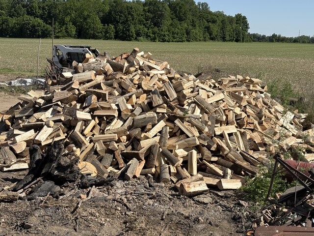 Huge pile of freshly split firewood at the edge of a hay field