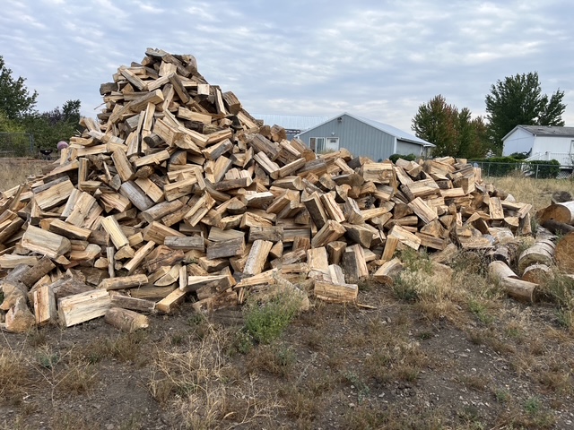 Pile of split firewood next to unsplit rounds with a shop building behind