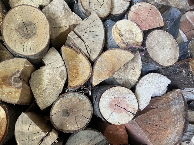 Close-up of bucked log rounds showing the cut faces